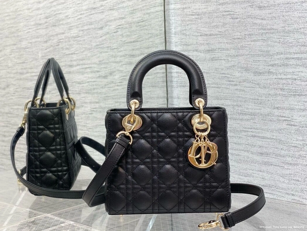 Tony Luxuries SmallCalfskin-20-16.5-8CM Lady diro 0805